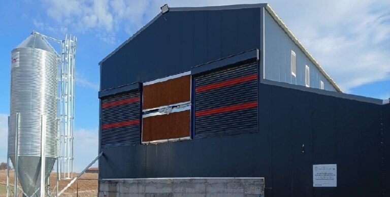 Yumurta tavukçuluğu kümesi